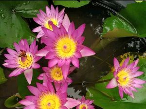 For Jyoti Mam