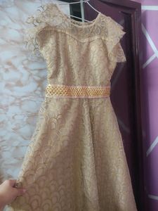 Party Wear Long Gown