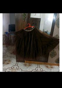 Brown Tulle Skirt and Embellished Top