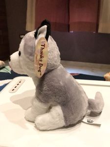 Husky Puppy Plush