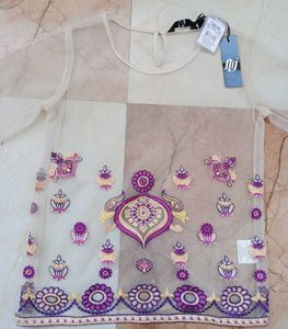 Korean Asthetic Sheer Top
