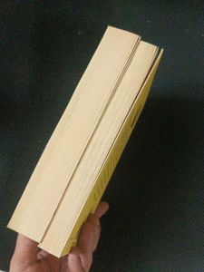 Salman Rushdie Book Set