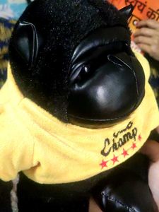 Cutie Chimpanzee