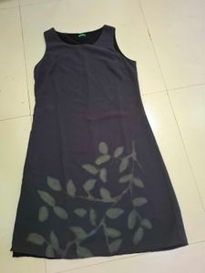 L Size Dress