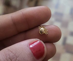 Gold Nosepin