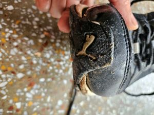 Original Puma Sports Shoes For Girls