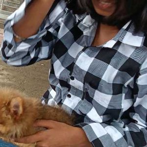 Checked Button-Down Shirt