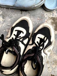 Stylish Sneakers