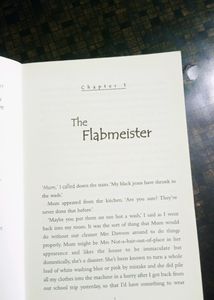 novel