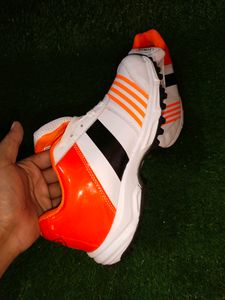 HITMAX CRICKET SHOE FOR MEN UK SIZE (8)