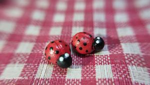 handmade clay fridge magnets combo