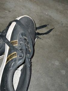 The Shoes are Really Very Cool