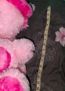 Teddy Bear Or Stuffed Toy