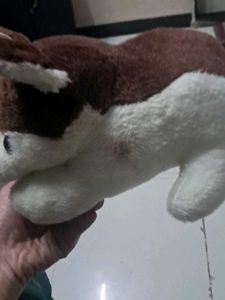 Cute Dog Plushie
