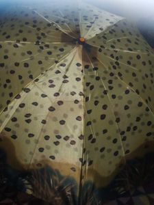 Beautiful Umbrella