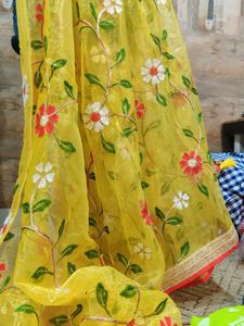 Brand New Organza Saree 10 Years