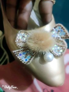 Golden Bellies Shoe