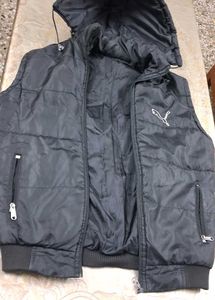 Padded Jacket with Hood