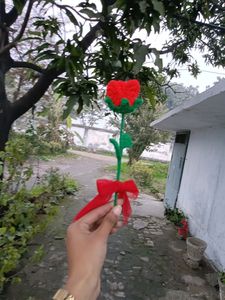 Crocheted Rose 🌹