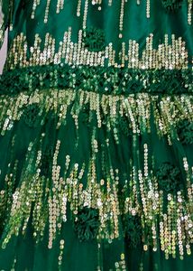 Green Colour Gown With Full Of Sequence Work