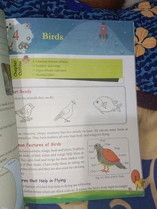 Science Class3