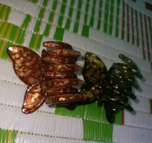 Trendy Butterfly 2clips😍