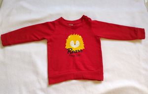 Winter Wear Sweatshirt