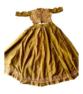 Crop Top lehenga Choli....