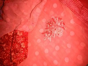 Brand New Chiffon Saree With Designed Blouse