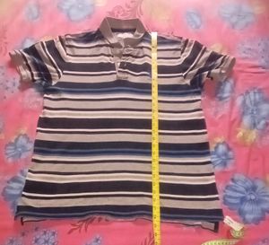 Polo Tshirt For Men's