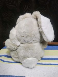 Bunny Soft Toy