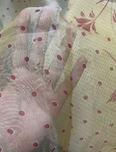 Floral Organza Saree
