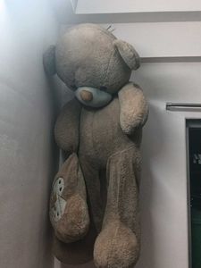 Big Size Teddy Bear
