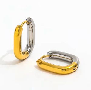 Dual Aura Hoops