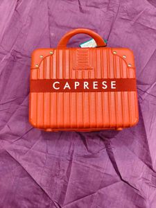 Caprese Vanity bag- bollywood style.