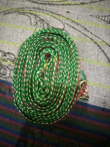 Green & Gold Saree Border