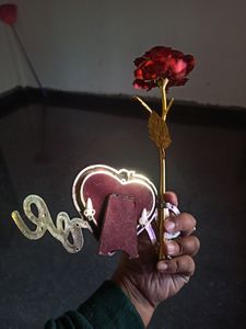 Beautiful Rose Flower Photo Frame
