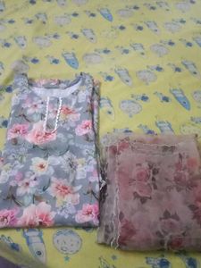 Kurta And Organza Duppata