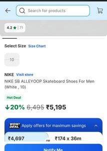 NIKE SB ALLEYOOP Skateboard Shoes For Men (10)