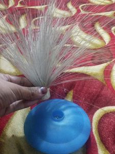 Fiber Optic showpiece