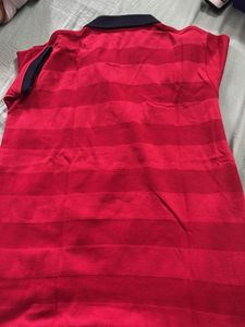 Striped Red Polo Shirt
