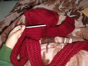 Red Knit Scarf