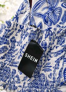 Stylish Blue &amp; White Print Dress