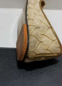Elegant Ethnic Mojari Shoes