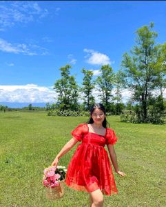 Customized Organza Mini Dress