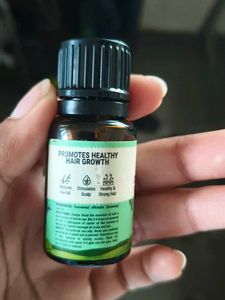 Pilgrim Rosemary Essential Oil