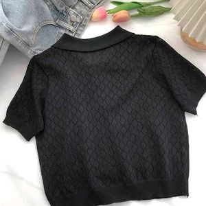 Sheer Pullover Tshirt