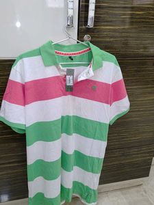 Striped Polo Shirt