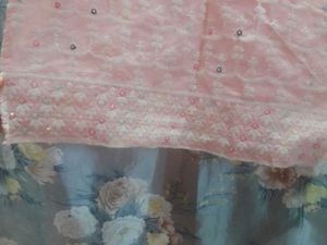 Elegant Peach Kurta Pant With Net Dupatta