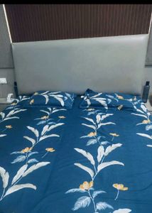 Bedsheet Combo